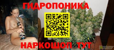 дживик Кинель