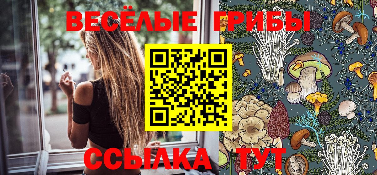 Галлюциногенные грибы Magic Shrooms Сланцы