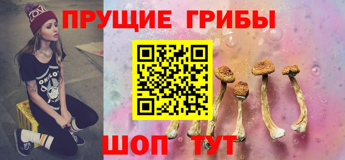 Сланцы  Галлюциногенные грибы мицелий  Вход с VPN  Галлюциногенные грибы Cubensis 